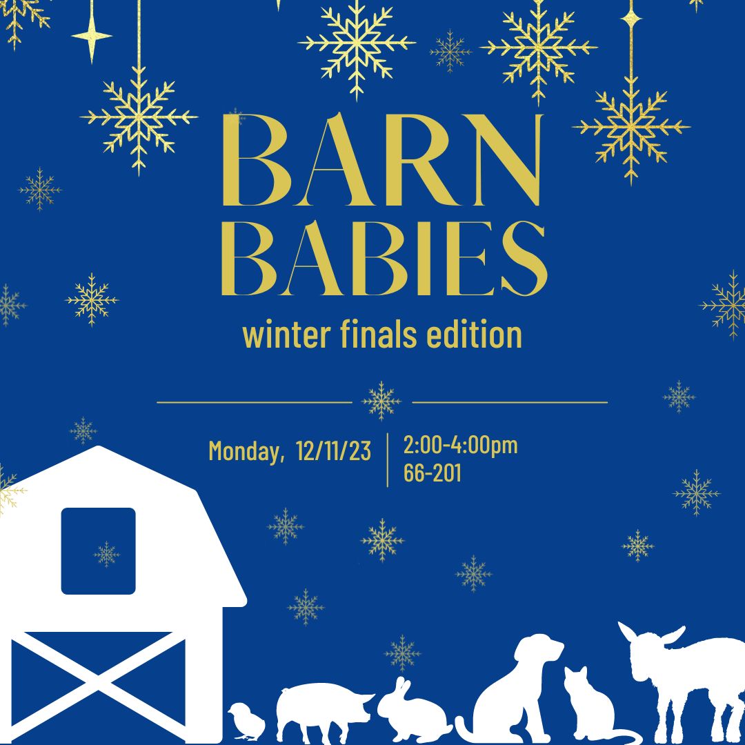 Barn Babies – Winter Finals Edition