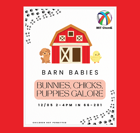 Students, take a break with Barn Babies!