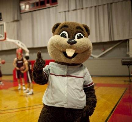 Tim the Beaver