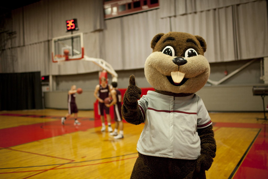 Tim the Beaver